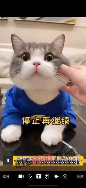 ⁸/₁₃⏰丨iOS限免应用推荐！苹果App Store限时免费！