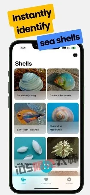 ⁸/₁₆⏰丨iOS限免应用推荐！苹果App Store限时免费！