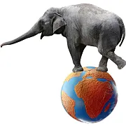 xiuno插件-幸运踩楼_踢楼插件ID:xn_lucky_post