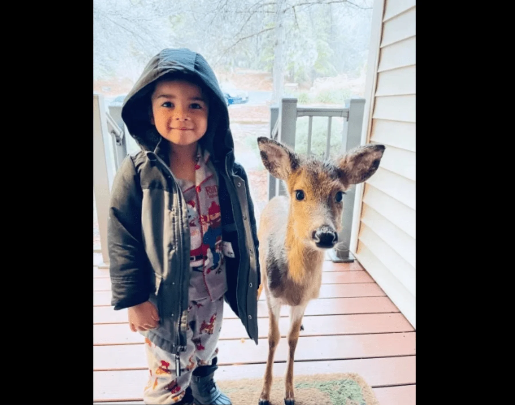 毁灭之王windows10能玩吗