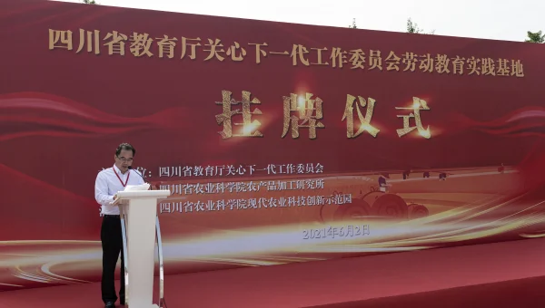 云环境下编程工具的应用与实践