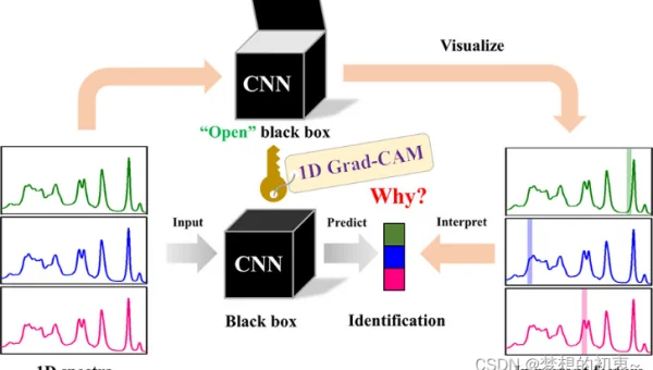 Python 深度学习模型训练学习的技巧与策略