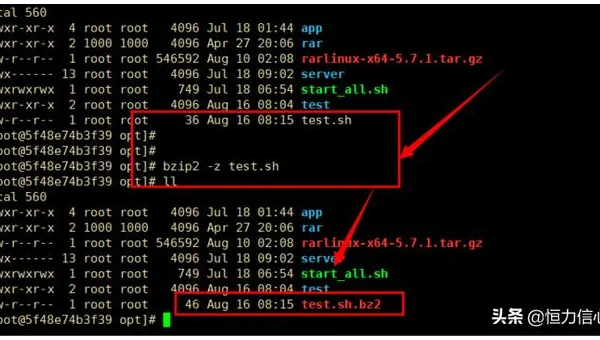 linux的rar解压缩命令