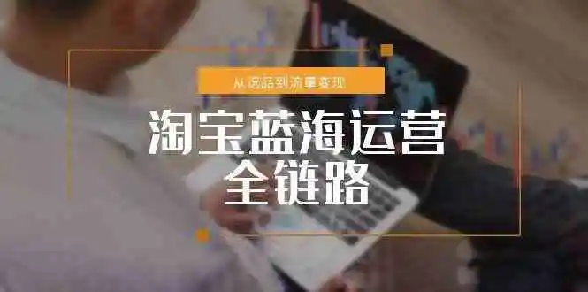 淘宝蓝海运营全链路，从选品到流量变现，小类目突围完整方案