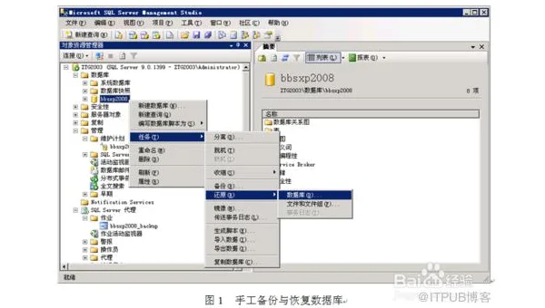 SQL 数据库备份与恢复优化技巧：增量备份与快速恢复