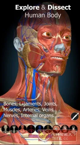 Anatomy Learning 3D解剖学v3.1.466高级版