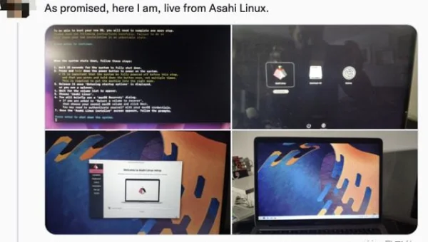 linux 终端怎么删除文件