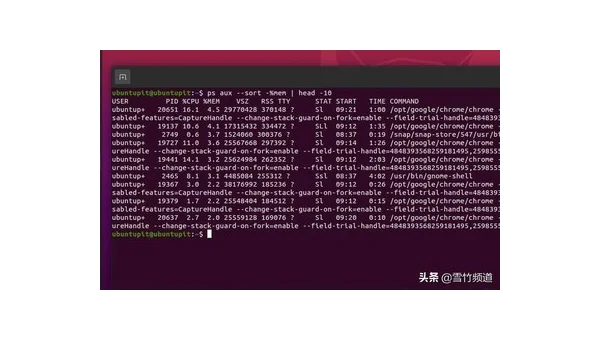 Linux 中如何查看和管理 CPU 使用情况