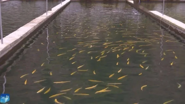 Ant 构建跨平台项目的方法