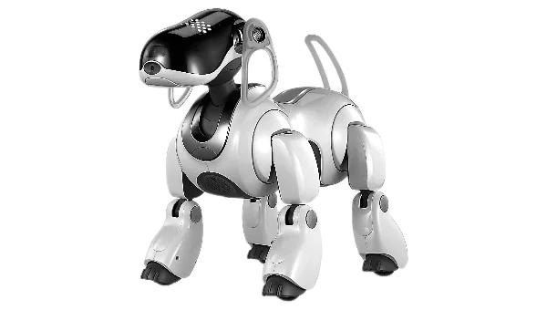 robot执行linux命令