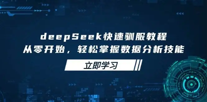deepSeek快速驯服教程,从零开始,轻松掌握数据分析技能