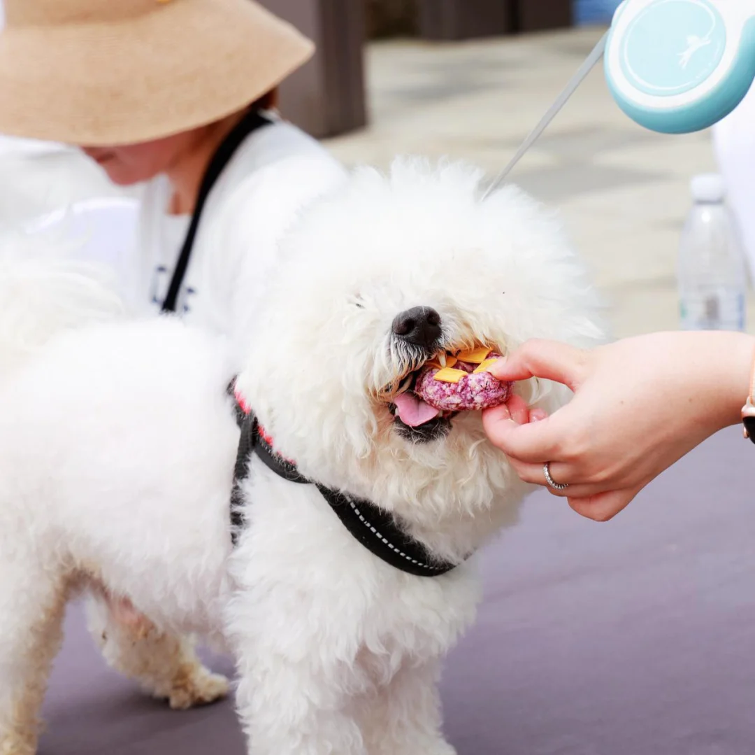 windows7怎么用hdmi投屏