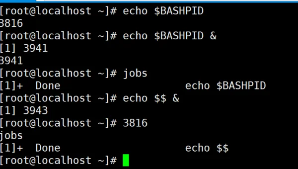 Linux 编程学习的 shell 脚本自动化