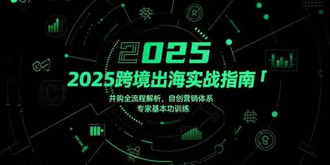 （15503期）2025跨境出海实战指南，并购全流程解析，自创营销体系，专家基本功训练