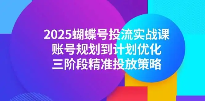 (14987期)2025蝴蝶号投流实战课,账号规划到计划优化,三阶段精准投放策略