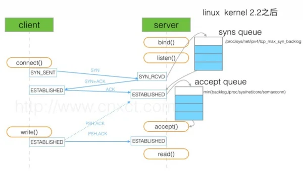 linux怎么查看udp连接数