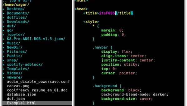 Vim Vanilla vs Neovim：传统编辑器与现代分支的差异
