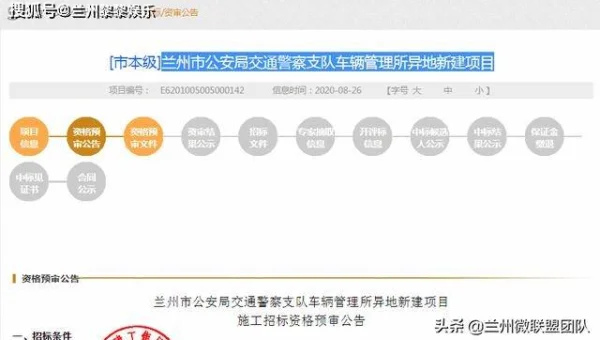 SVN 项目分支的创建与管理