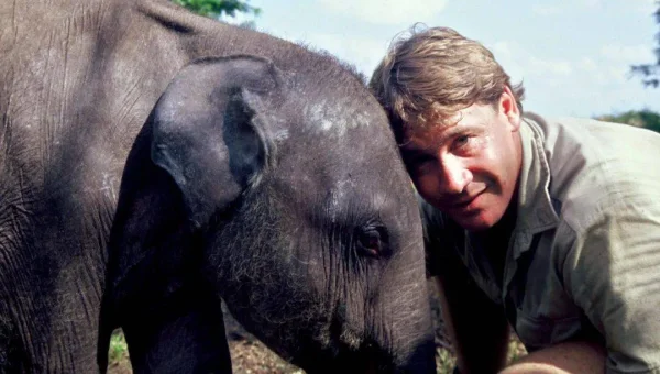 windows 11游戏帧数怎么显示