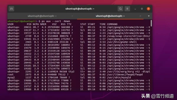 怎么查看linux服务所有启动的进程