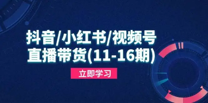 （14611期）抖音/小红书/视频号/直播带货(11-16期)，快速掌握平台规则，打造爆款内容