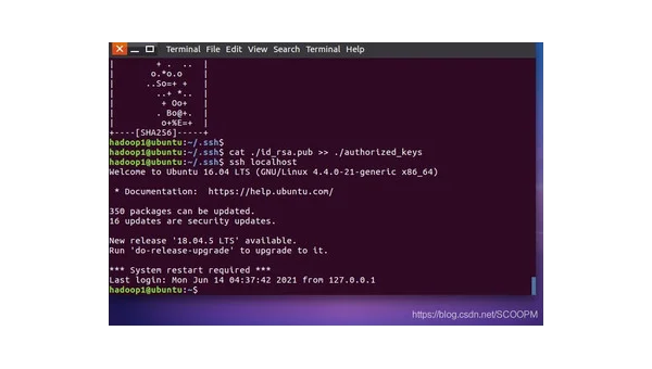 Linux下怎么退出cat命令