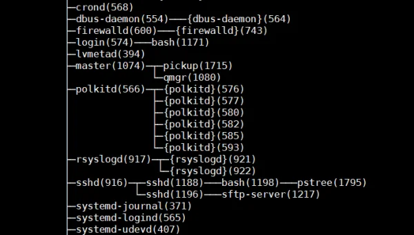 linux进程树怎么画