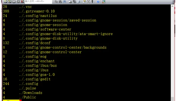 linux如何看目录下空间大小