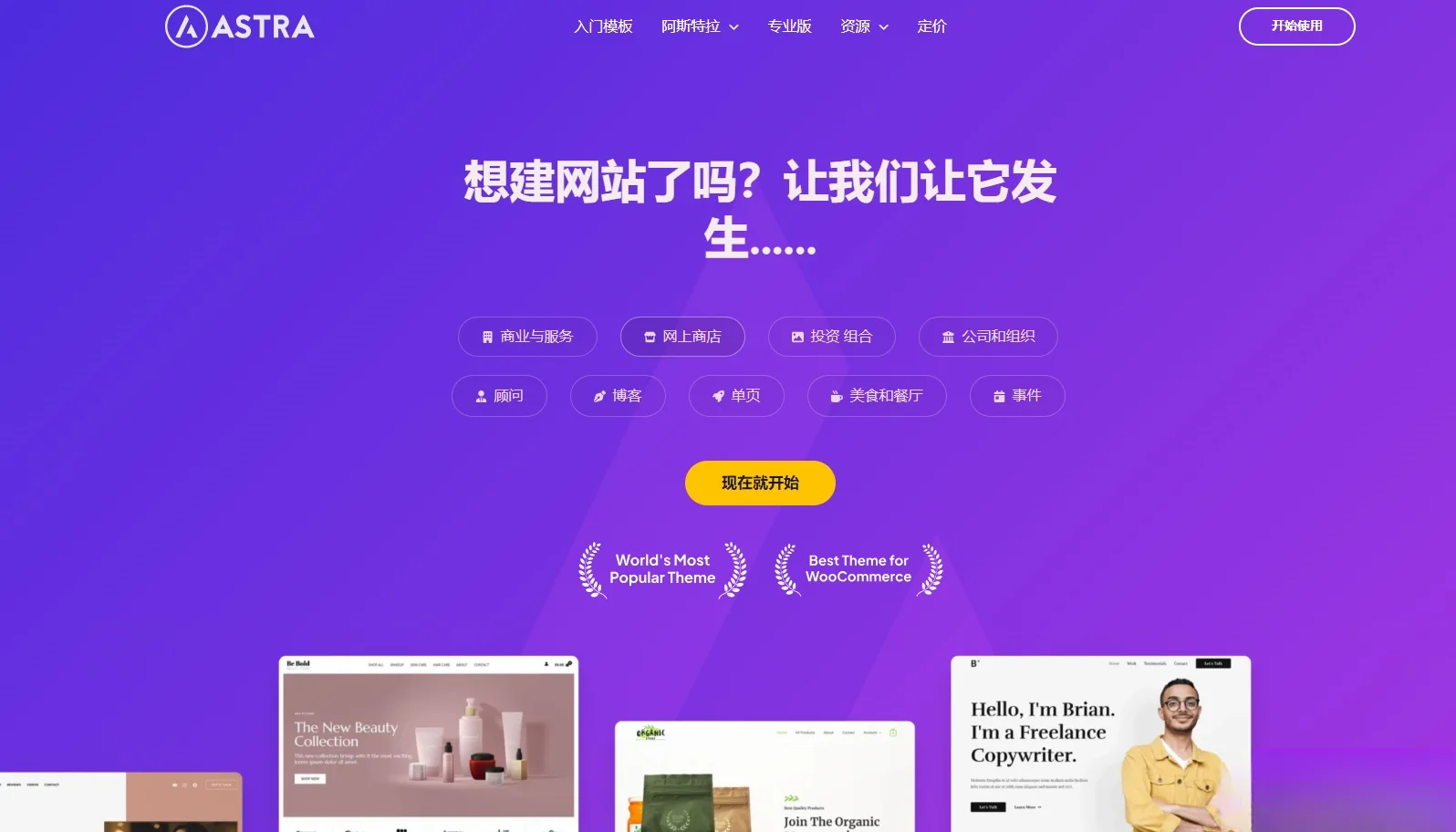 Astra独立站全套主题整理 带pro版插件