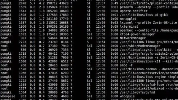 linux进程使用命令