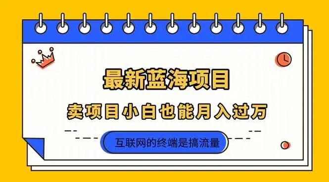 (14289期)2025年最新蓝海项目,卖项目小白也能月入过万