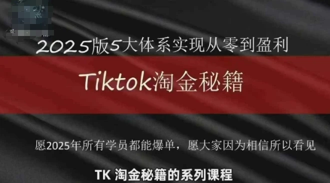 TikTok跨境2025淘金秘籍，2025TikTok从0到盈利变现