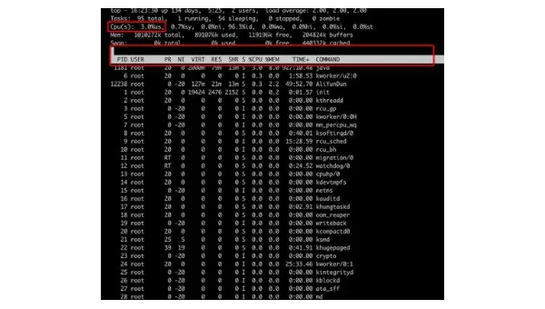 linux怎么查看服务器版本信息失败
