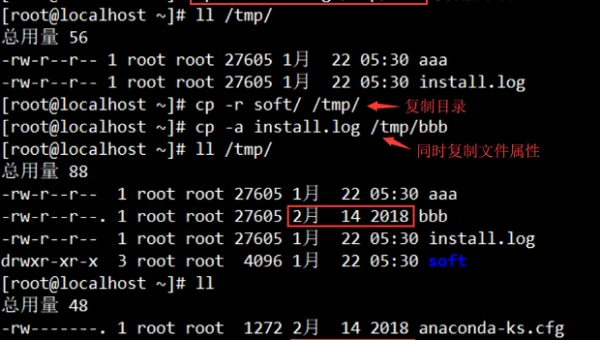 linux cat命令详解