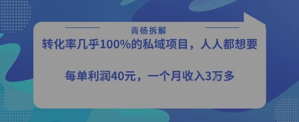 转化率最高的私域项目，每单利润40-50米，月入过1w