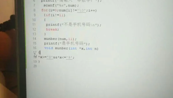 C 语言编程指针知识点揭秘