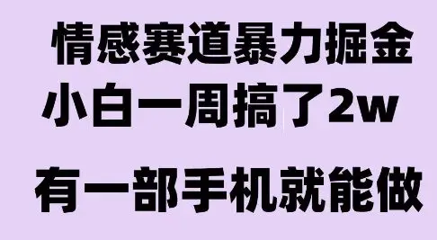 情感暴力掘金项目，新人操作一周挣了2W，长期稳定小白可做【揭秘】