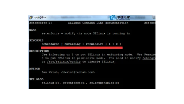 Linux 怎样查看系统当前的 SELinux 安全上下文标签