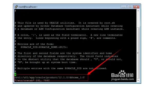 Linux 如何启用和配置 IPv6