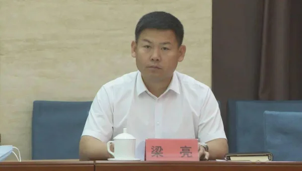 Linux 如何安装和使用 FastAPI 进行 Web 开发