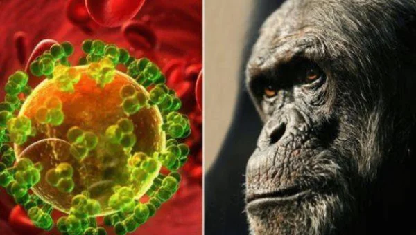 linux excel函数怎么传数组