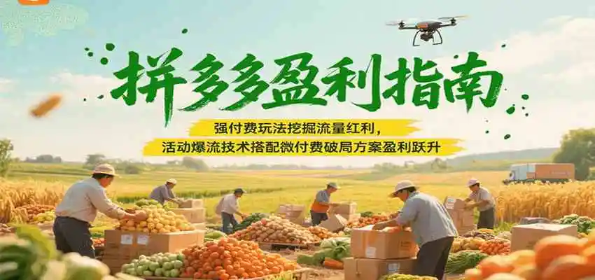 拼多多盈利指南：强付费玩法挖掘流量红利，活动爆流技术搭配微付费方案实现盈利跃升