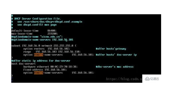 在 Linux 系统中配置 DHCP 服务器的详细步骤