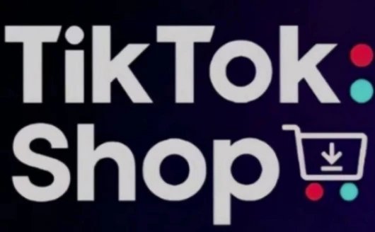 TikTokShop跨境电商0-1实战，手把手教你低成本启动海外市场