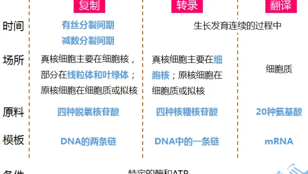 JavaScript 模块化开发中的 Rollup 打包知识点配置