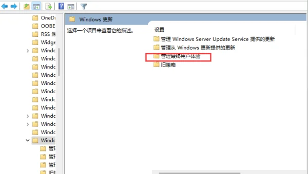 Win11 系统响应延迟？优化技巧