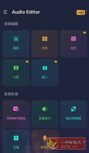 Audio Editor Pro Pro音频编辑器v1.01.72.0623专业版