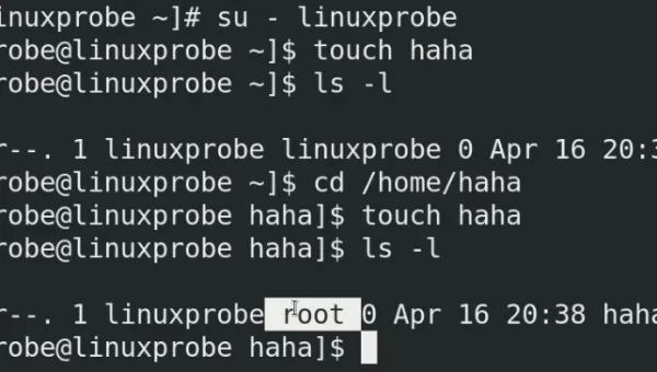 Linux 如何设置文件的粘滞位