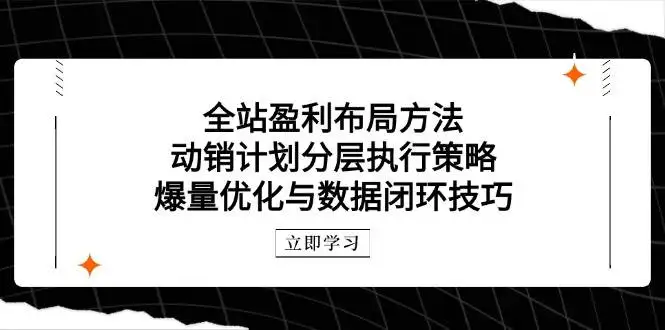 (14698期)全站盈利布局方法:动销计划分层执行策略,爆量优化与数据闭环技巧