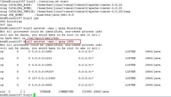 linux查看文件内容是什么命令
